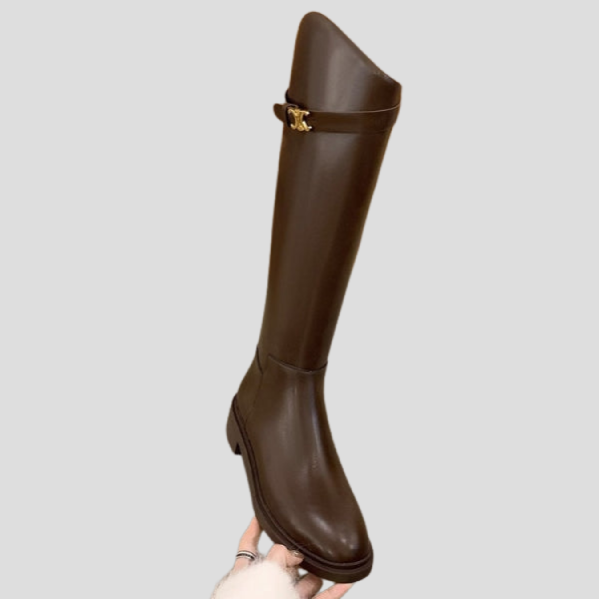 Women's tall structured shaft boots with clean vertical profile in black and brown
